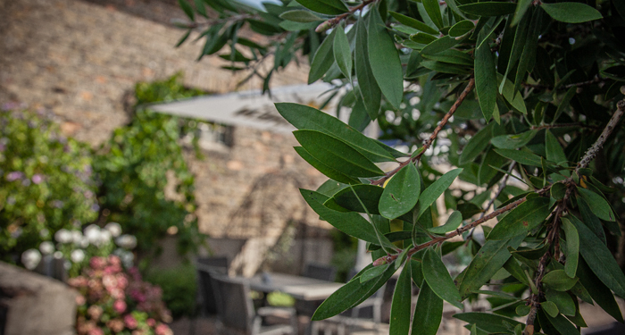 Besondere Momente und schattige Orte in unserem Café