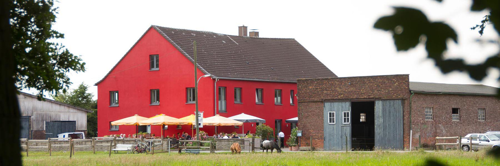 Restaurant Mowwe schon von Weitem gut zu sehen