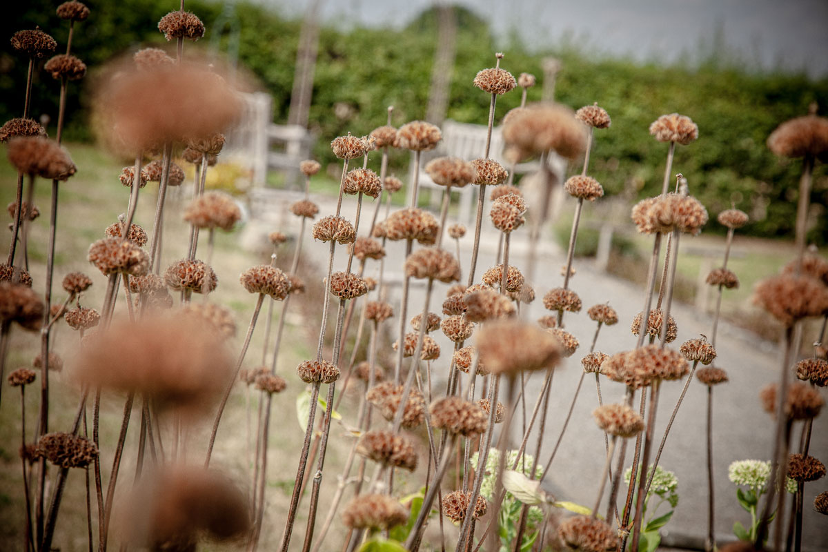 Glück im Freien - Ihr Ort für Freie Trauungen nah der Natur