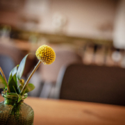 Stilvoll -Impressionen aus unseren Restaurant